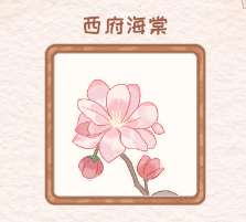 花店物语西府海棠可以制作哪些花束