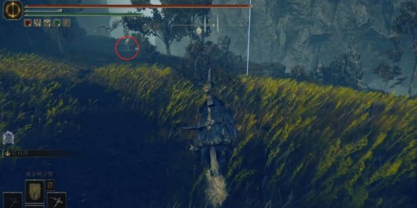 艾尔登法环dlc红种子护符+1获取方法