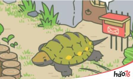 旅行青蛙乌龟出现条件是什么？乌龟喜欢什么？