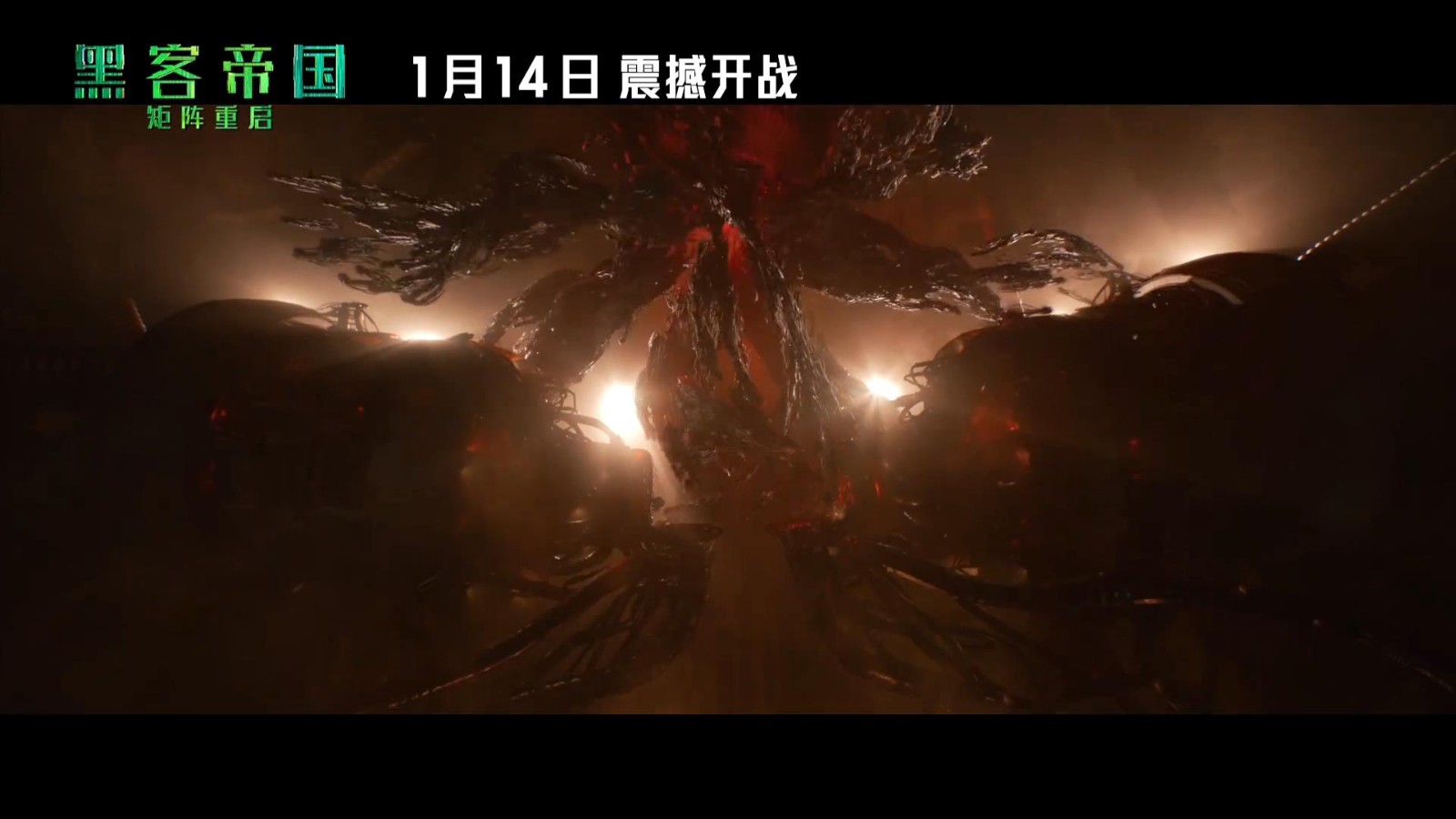 《黑客帝国4》新中文特辑 能重返矩阵真不可思议