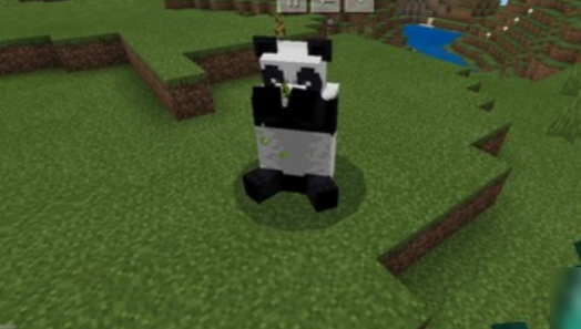 《我的世界》熊猫怎么驯服？