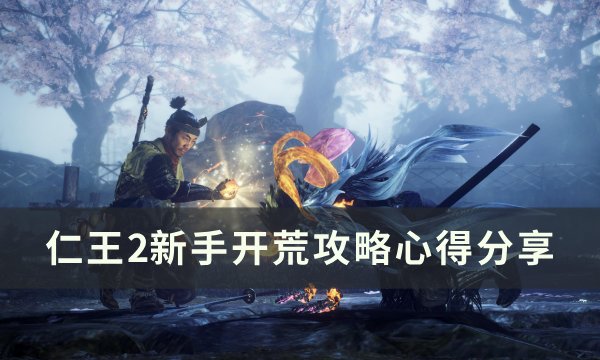 仁王2萌新用什么武器好