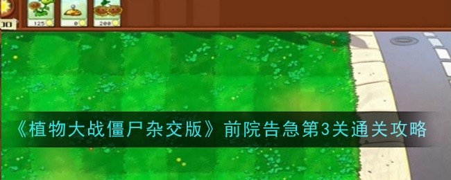 植物大战僵尸杂交版前院告急3通关流程