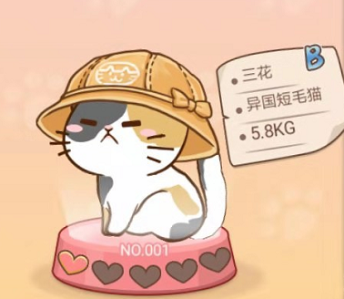 猫特兰蒂斯小五猫咪图鉴